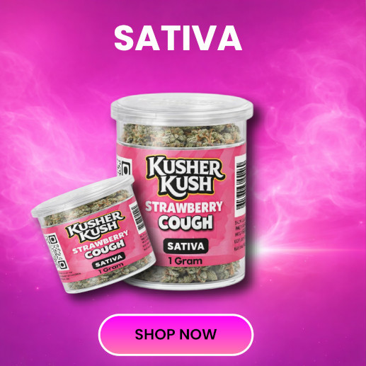 Sativa
