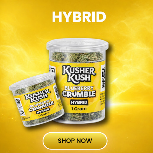 Hybrid
